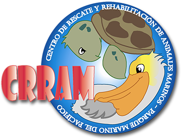 Acerca del CRRAM-Centro de Rescate y Rehabilitación de Animales Marinos